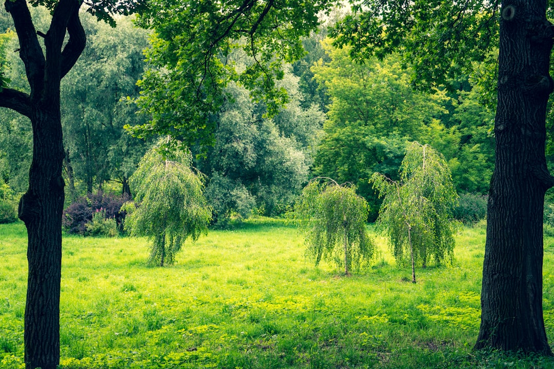 Photo retirement hedges
