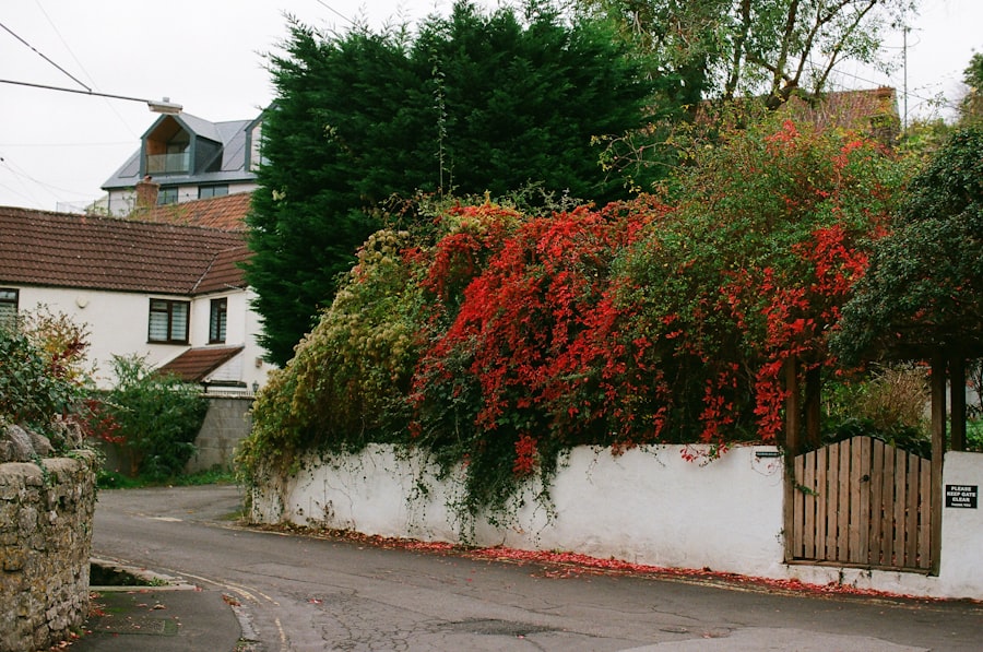 Photo inflation hedge