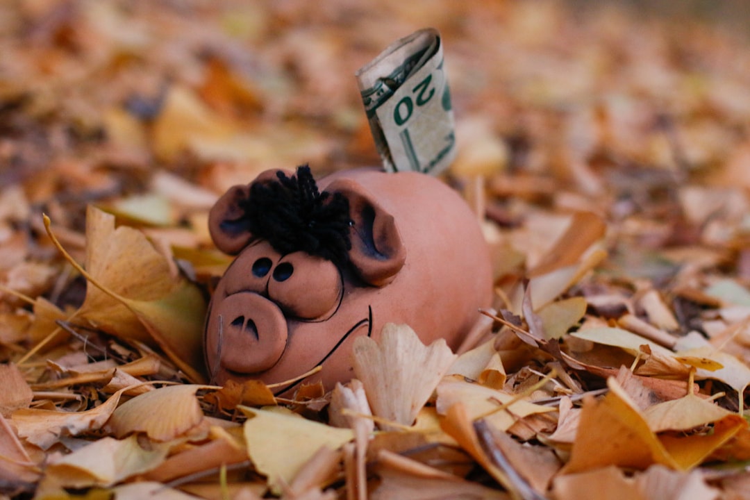 Photo 401k retirement plan