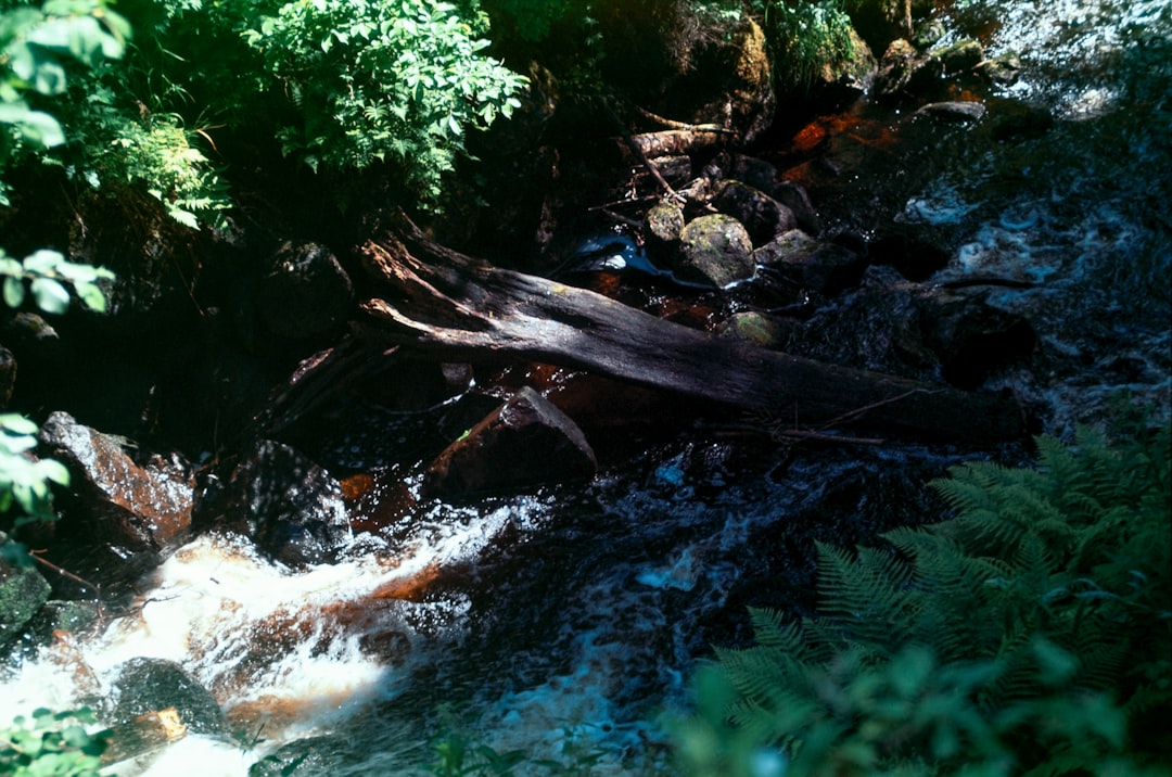 Photo wildfire runoff, drinking water