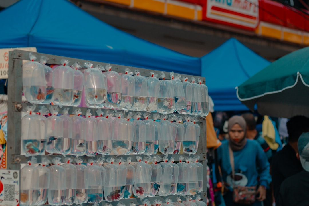 Photo bpa free water bottles