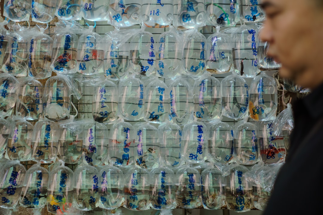 Photo plastic water bottle recycling