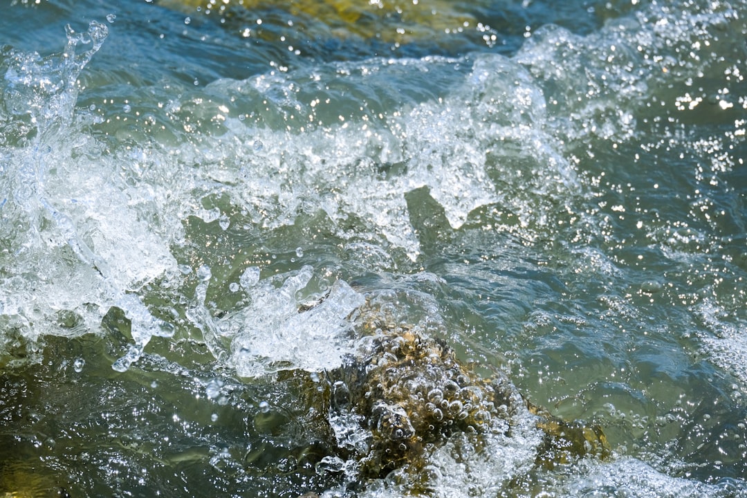 Photo water quality data access