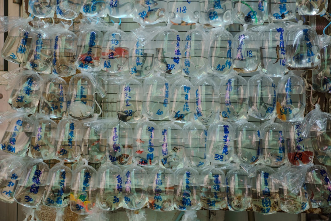 Photo microplastics count