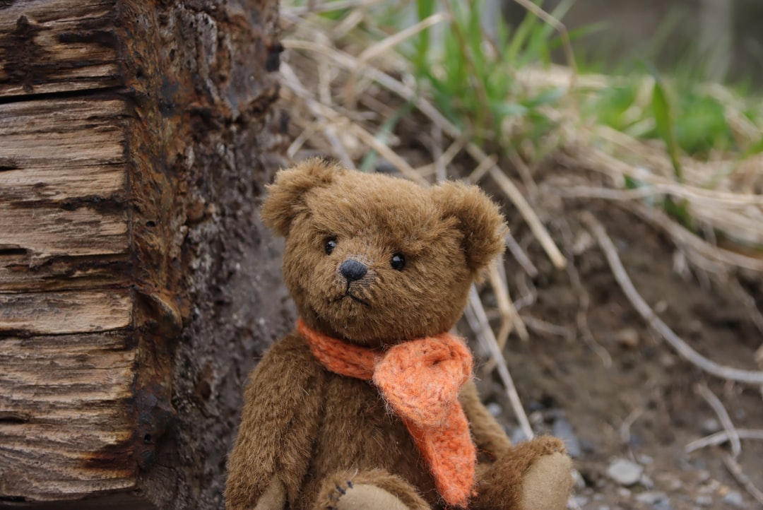 Photo teddy bear origin