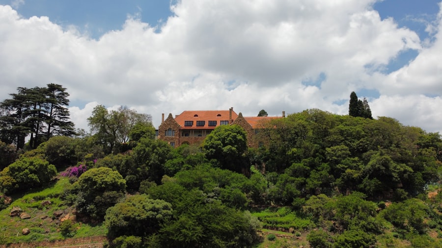 Photo kennedy dynasty scandals