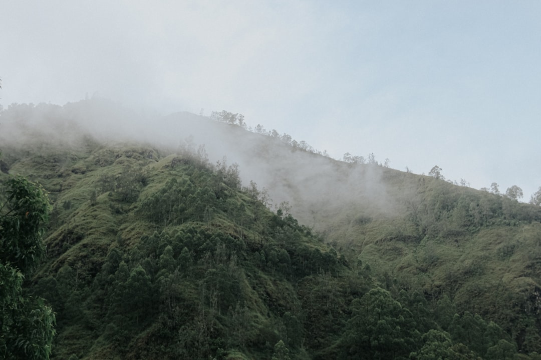 Photo Mountain Dew BVO ban