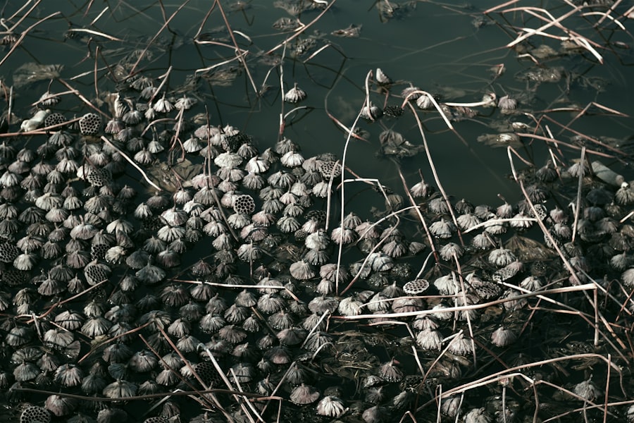 Photo Titanium dioxide ban