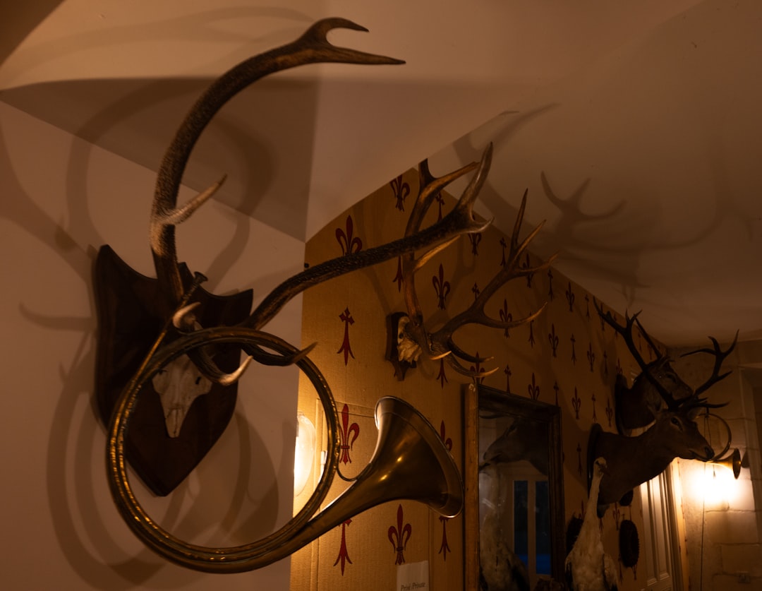 Photo Viking Helmet symbolism