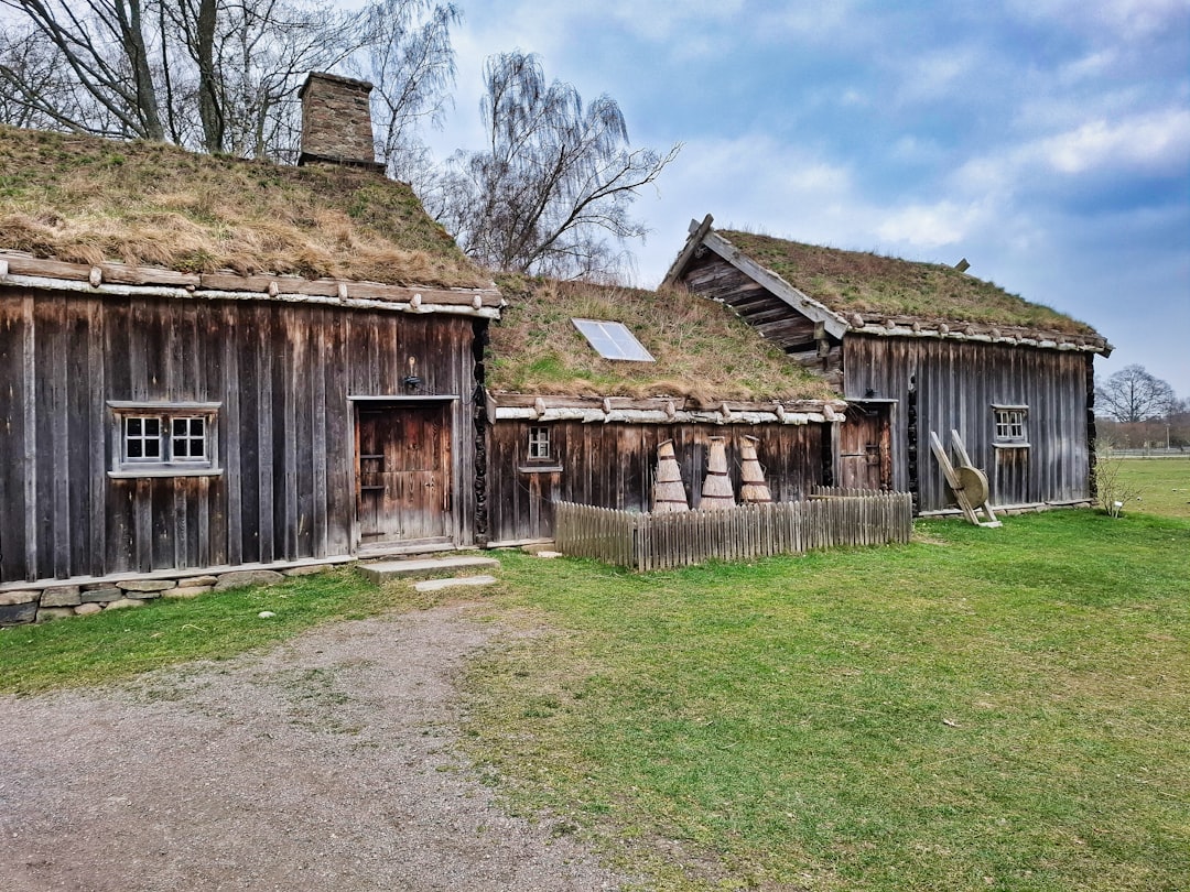Photo Viking Archaeological evidence