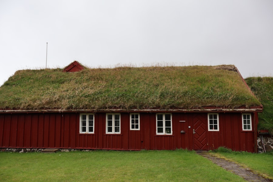 Photo Viking Archaeological evidence