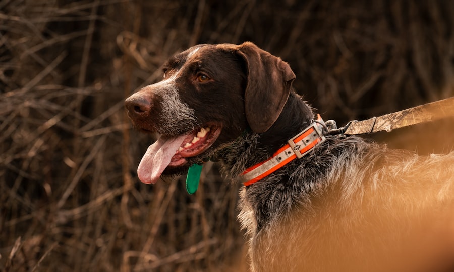 Photo Technological advancements