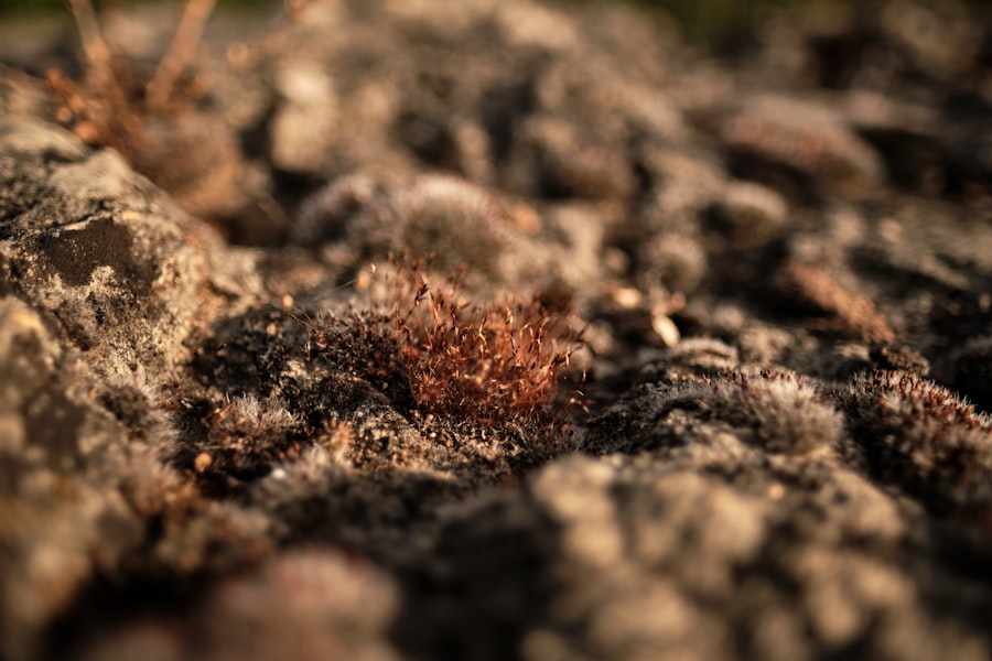 soil breathe chemicals
