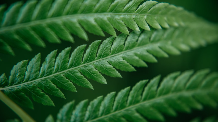 pharmaceutical companies, patent evergreening