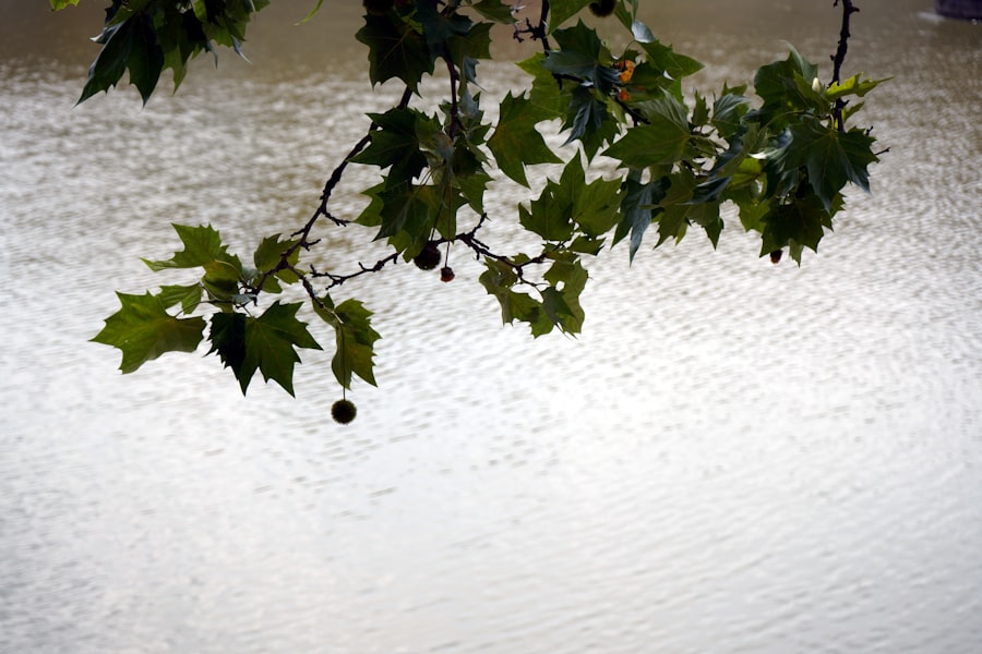 hydrophobic coating cost