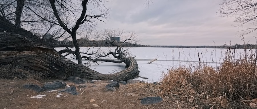 repair ecosystem documentary