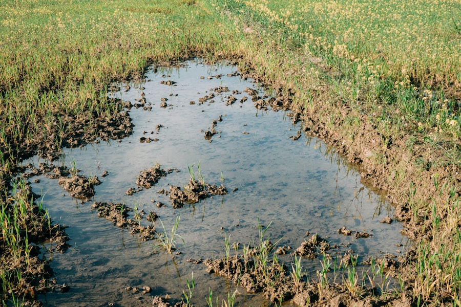 test soil for legacy phosphorus