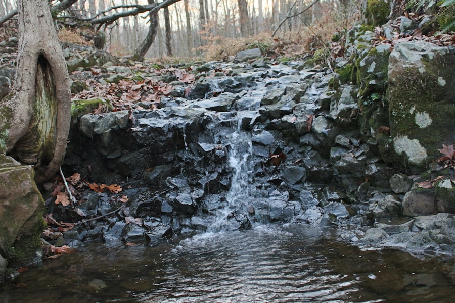 phosphorus runoff