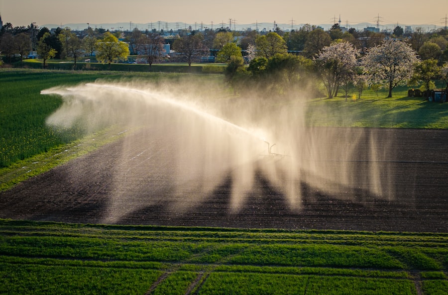 phosphorus fertilizer pollution