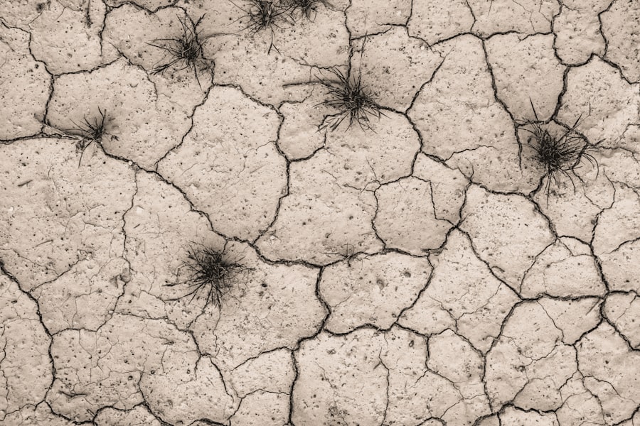 phosphorus crisis