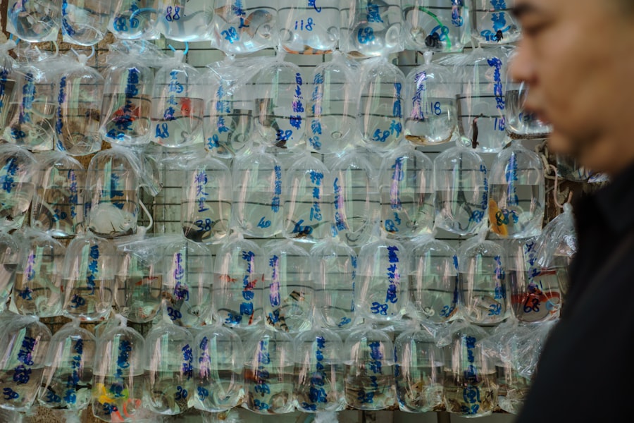 plastic producers accountability