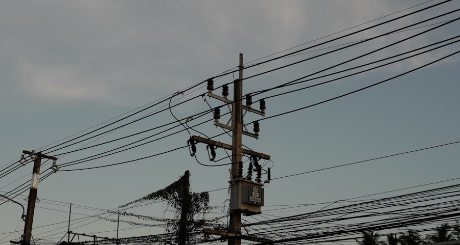 electricity monopolies