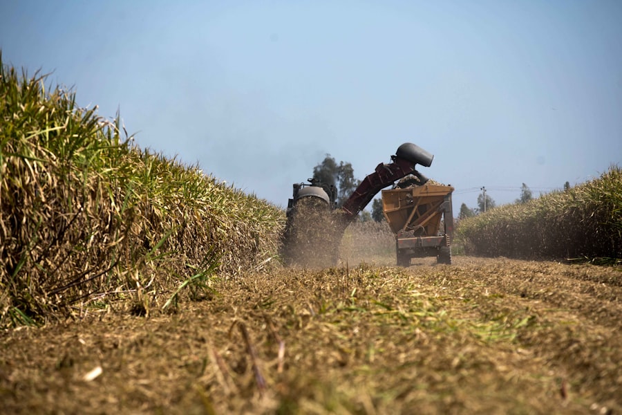 fertilizer export bans
