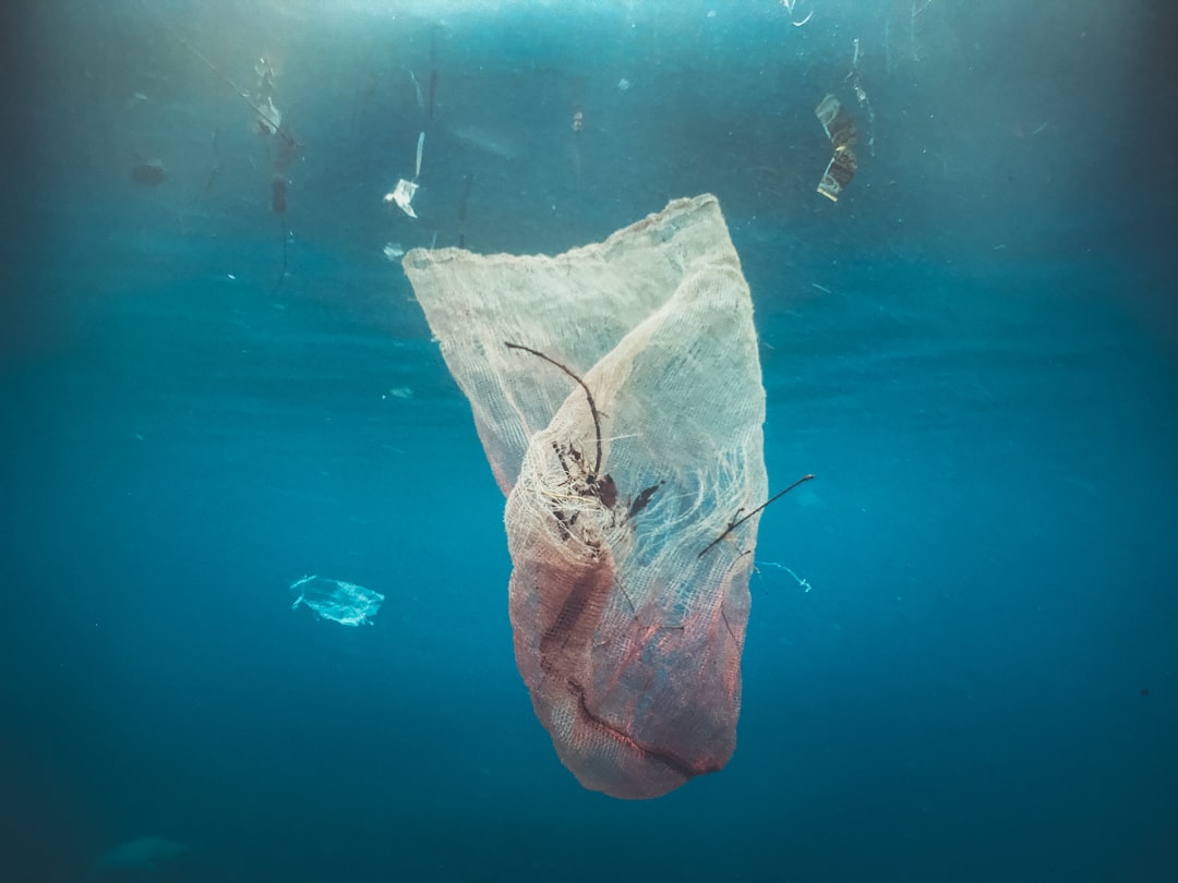 Photo plastic waste oceans