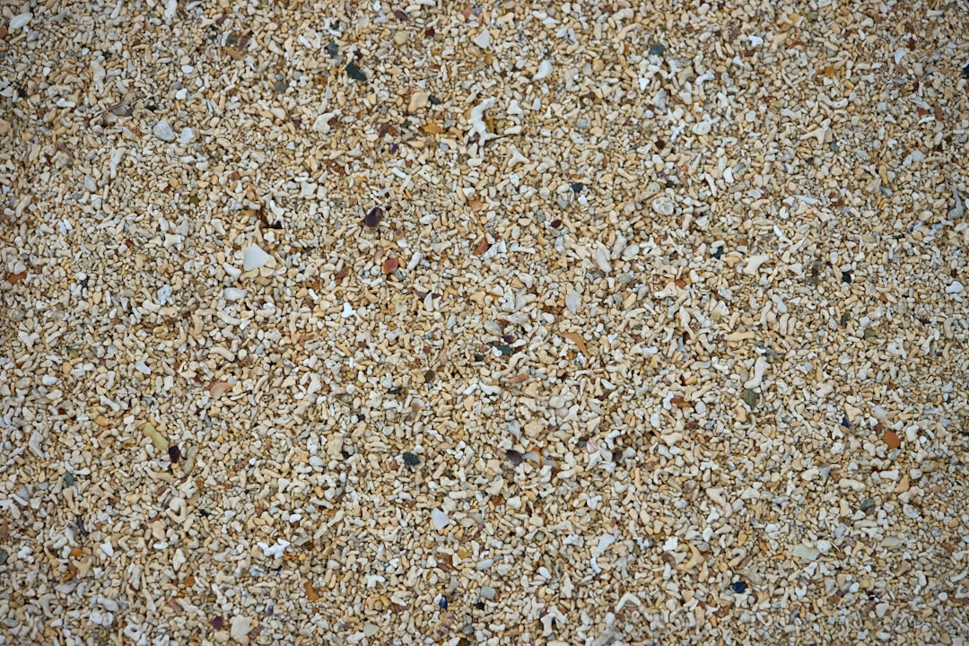 Photo angular sand grains