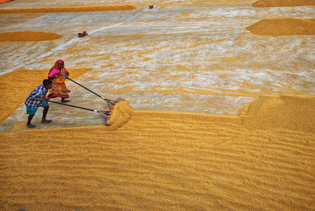 Photo illegal sand mining