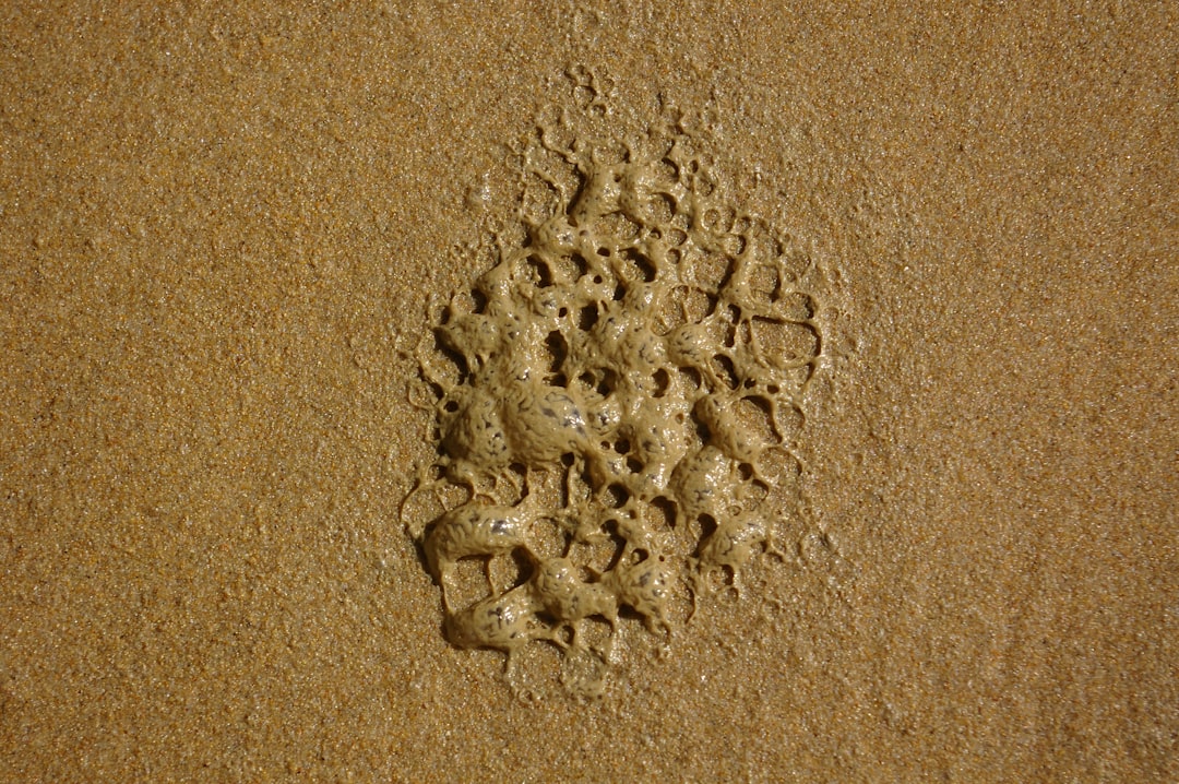 Photo sand syndicates operating at night