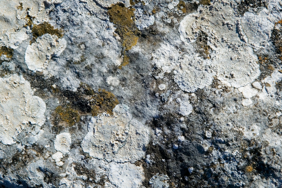 Photo chlorides in concrete