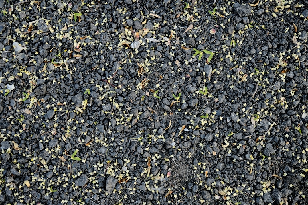 Photo fertilizer lie