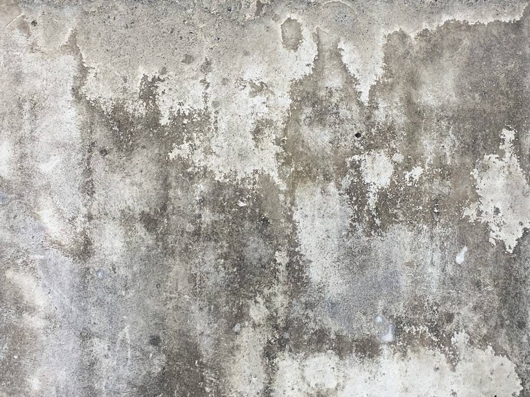 Photo concrete cancer