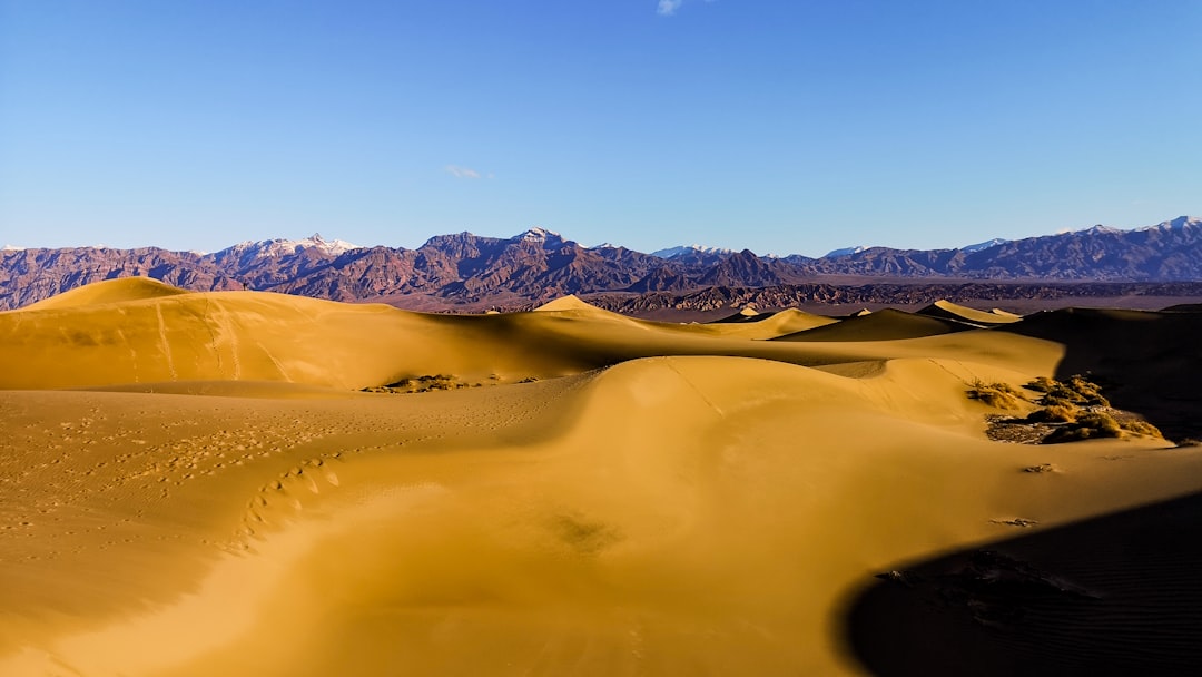 Photo desert sand