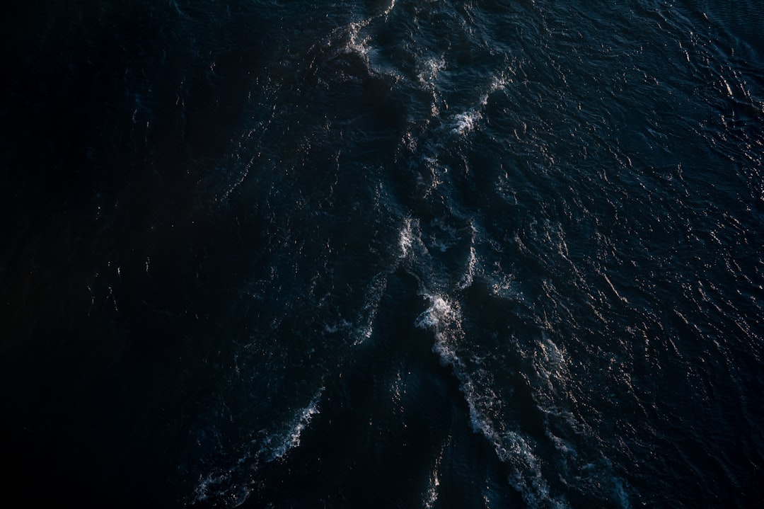 Photo ocean alliances