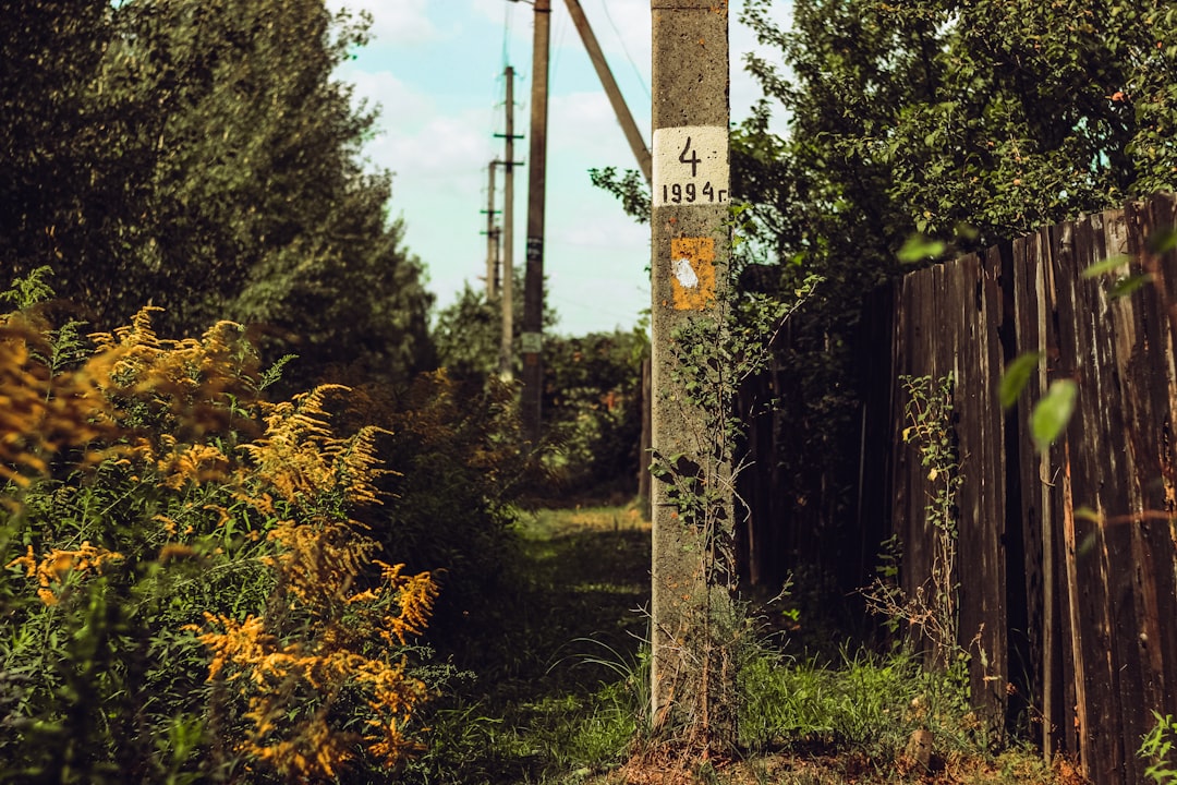 Photo bypass utility meter