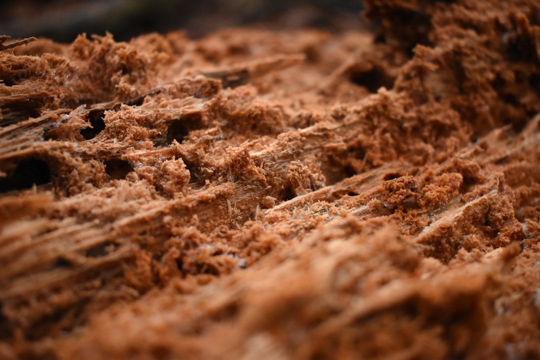 Photo soil compaction