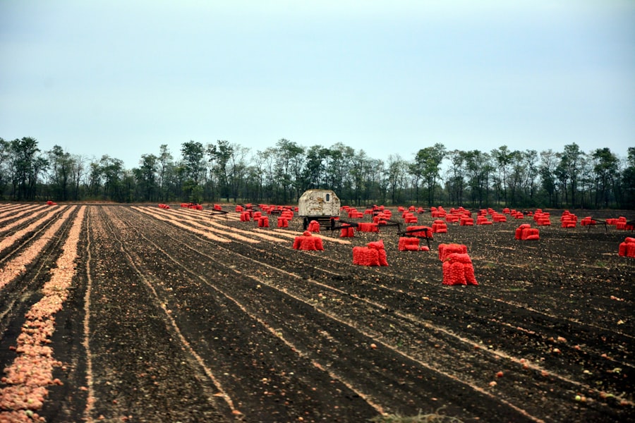 Photo fertilizer stockpile