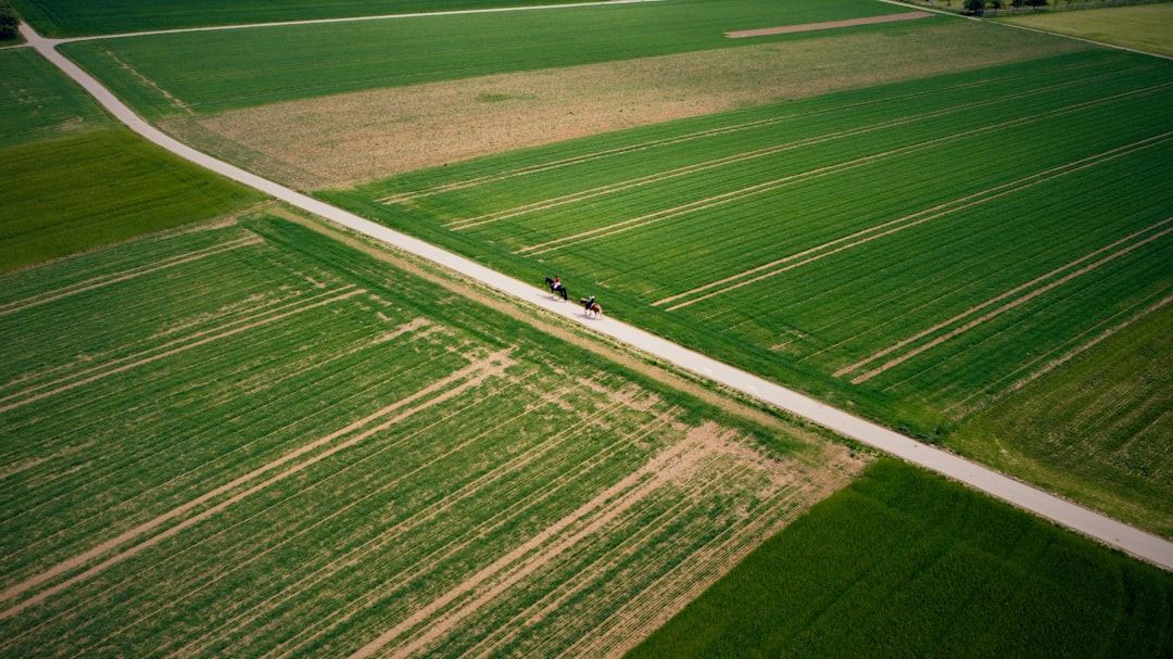 Photo agricultural credit lines