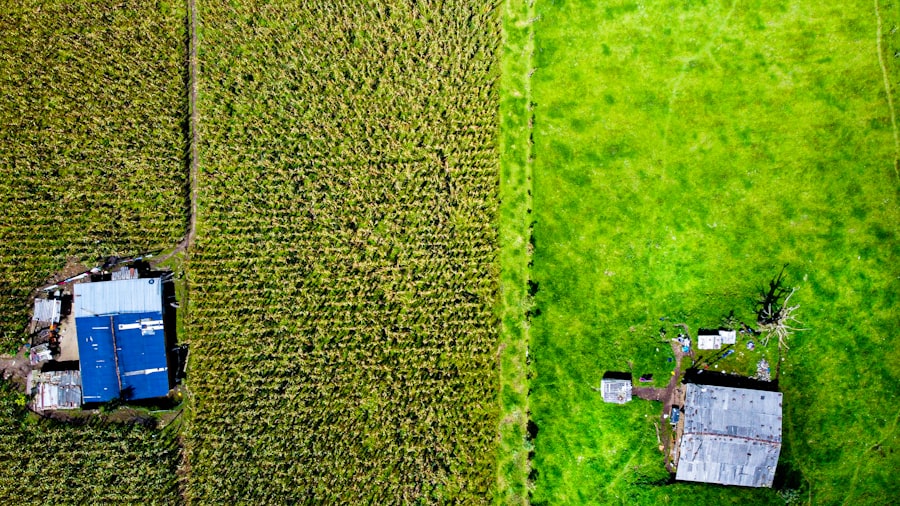 Photo fertilizer companies vs farmers