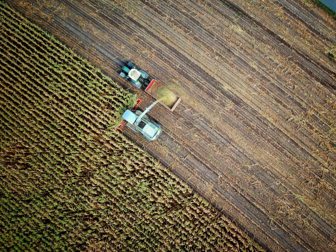 Photo precision agriculture