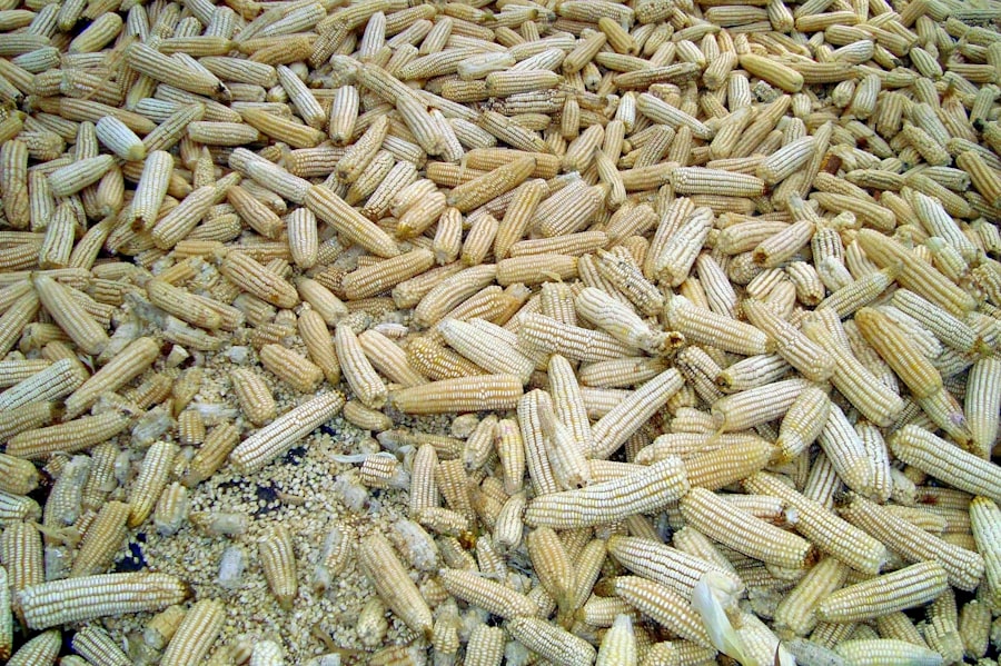 Photo manure microbes synthetic fertilizer