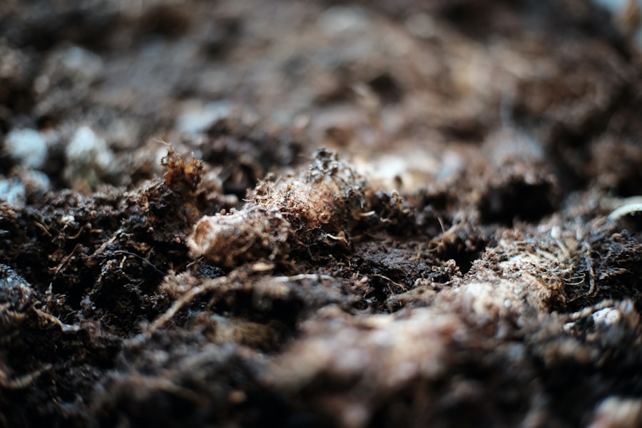 Photo soil breathe chemicals
