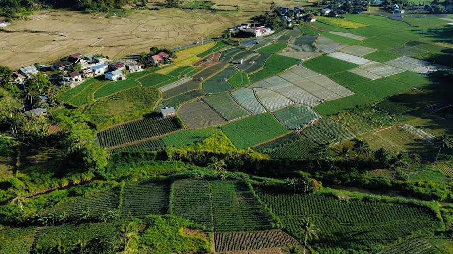 Photo agricultural law