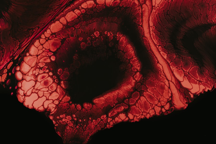 Photo retinal dopamine