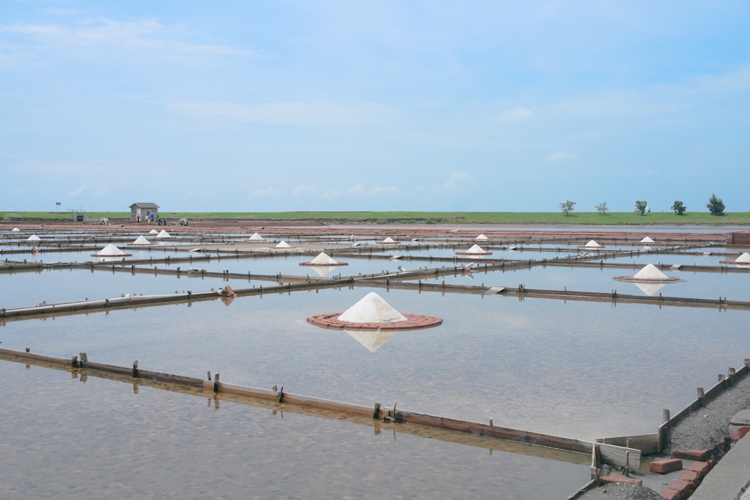 Photo phosphorus management