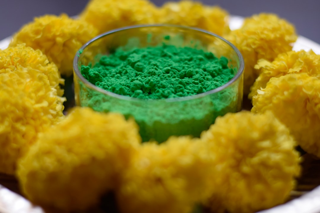 Photo phosphorus biofertilizers