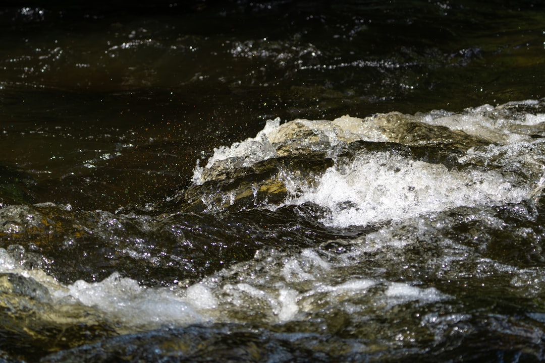 Photo phosphorus runoff