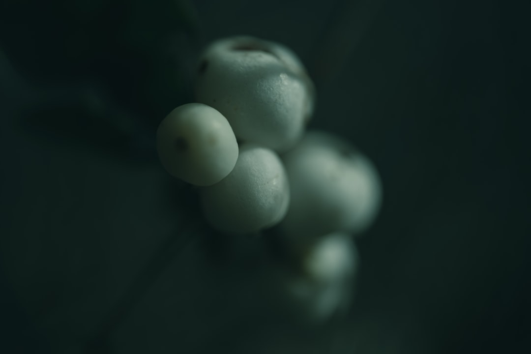 Photo phosphorus documentary